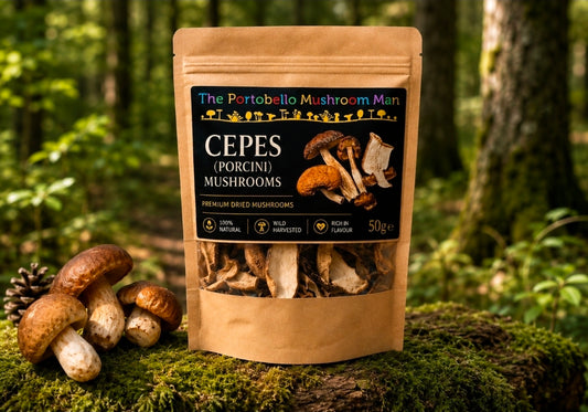 Dried cepe/ porcini